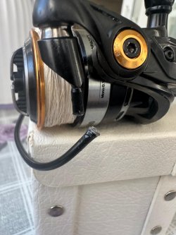 Savave Gaer SG8 1000 fd defekt Bügelbruch siehe Foto.